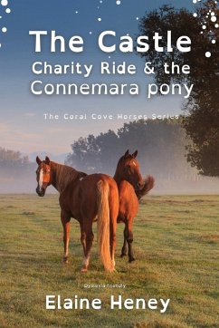 The Castle Charity Ride and the Connemara Pony - Dyslexia Friendly - Heney, Elaine