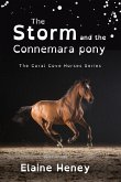 The Storm and the Connemara Pony - Dyslexia Friendly The Storm and the Connemara Pony - Dyslexia Friendly