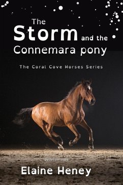 Cover The Storm and the Connemara Pony - Dyslexia Friendly