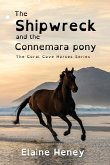 The Shipwreck and the Connemara Pony - Dyslexia Friendly The Shipwreck and the Connemara Pony - Dyslexia Friendly