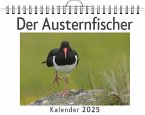 Der Austernfischer