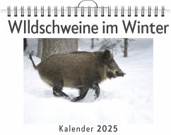 WIldschweine im Winter - Weber, Luisa