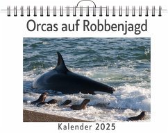 Orcas auf Robbenjagd - Krause, Eva