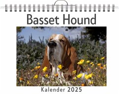 Basset Hound - Hartmann, Jonas