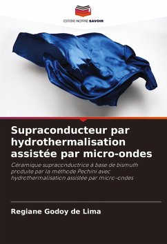 Supraconducteur par hydrothermalisation assistée par micro-ondes - Godoy de Lima, Regiane