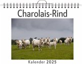 Charolais-Rind Charolais-Rind