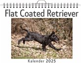 Flat Coated Retriever Flat Coated Retriever