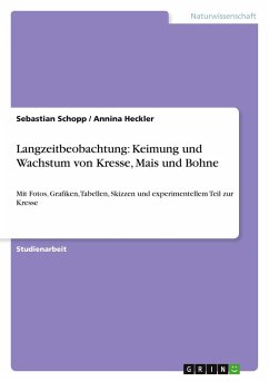 Langzeitbeobachtung: Keimung und Wachstum von Kresse, Mais und Bohne