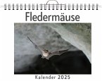 Fledermäuse