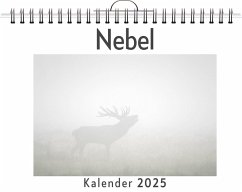 Nebel - Werner, Alice