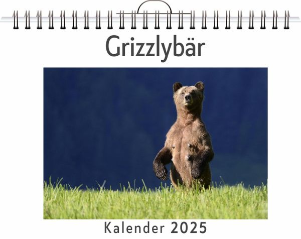 Grizzlybär