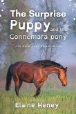 The Surprise Puppy and the Connemara Pony - Dyslexia Friendly The Surprise Puppy and the Connemara Pony - Dyslexia Friendly