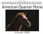 American Quarter Horse