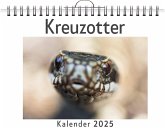 Kreuzotter Kreuzotter