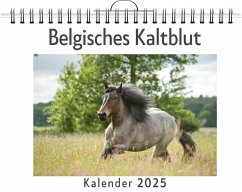 Belgisches Kaltblut - Fischer, Emilia