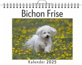 Bichon Frise Bichon Frise