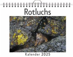 Rotluchs - Hofmann, Paul