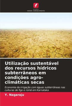 Cover Utilização sustentável dos recursos hídricos subterrâneos em condições agro-climáticas secas