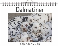 Dalmatiner - Maier, Laura