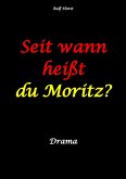 Seit wann heißt du Moritz? - hochfunktionaler Autismus, Suizid, Sucht, Medikamentenabhängigkeit, Kunststudium, CO2-Verbrauch, Galerie, Vernissage, Finissage, Trauer, Verlust, Therapie (eBook, ePUB)
