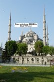 Diger görünümler 2024 Ekim (eBook, ePUB)
