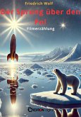 Der Sprung über den Pol (eBook, PDF)