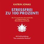 Stressfrei zu 100 Prozent! (MP3-Download)