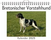 Bretonischer Vorstehhund Bretonischer Vorstehhund
