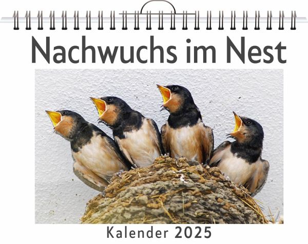 Nachwuchs im Nest
