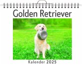 Golden Retriever Golden Retriever