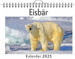 Cover Eisbär