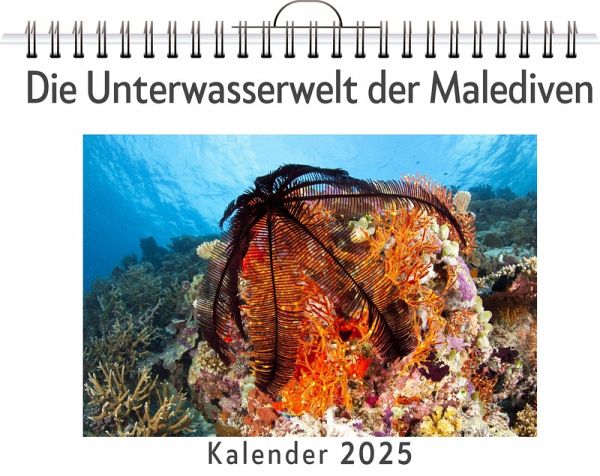 Die Unterwasserwelt der Malediven