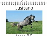 Lusitano Lusitano