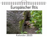Europäischer Iltis Europäischer Iltis