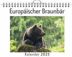 Europäischer Braunbär - Klein, Eva