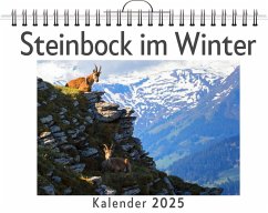 Cover Steinbock im Winter