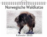 Norwegische Waldkatze Norwegische Waldkatze