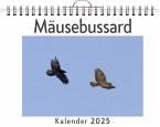 Mäusebussard