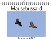 Mäusebussard Mäusebussard