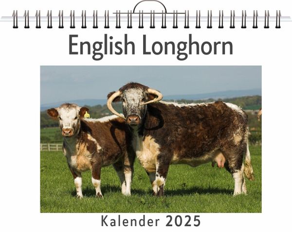 English Longhorn English Longhorn