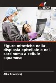 Figure mitotiche nella displasia epiteliale e nel carcinoma a cellule squamose Figure mitotiche nella displasia epiteliale e nel carcinoma a cellule squamose