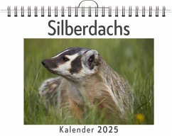 Silberdachs - Lange, Sarah