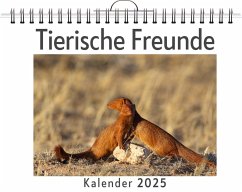 Tierische Freunde - Lang, Tim