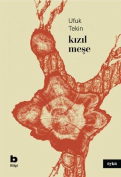 Cover Kizil Mese
