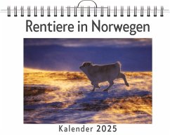 Cover Rentiere in Norwegen