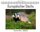 Europäischer Dachs Europäischer Dachs