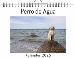 Perro de Agua - Richter, Amelia