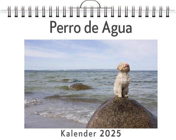 Perro de Agua