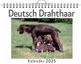 Deutsch Drahthaar Deutsch Drahthaar