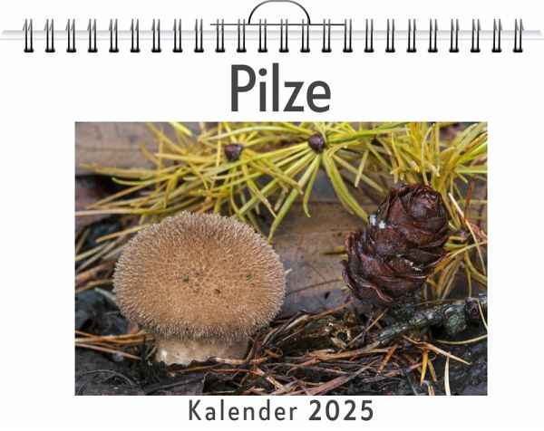 Pilze